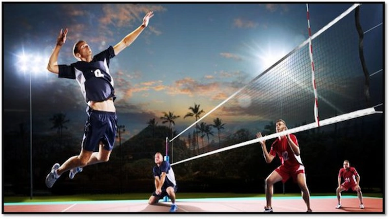 Purpose of Mastering Volleyball Betting Tips