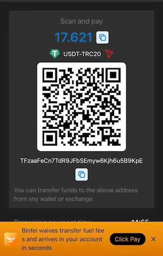 Step 3: Open your crypto wallet and pay using the QR or wallet address.